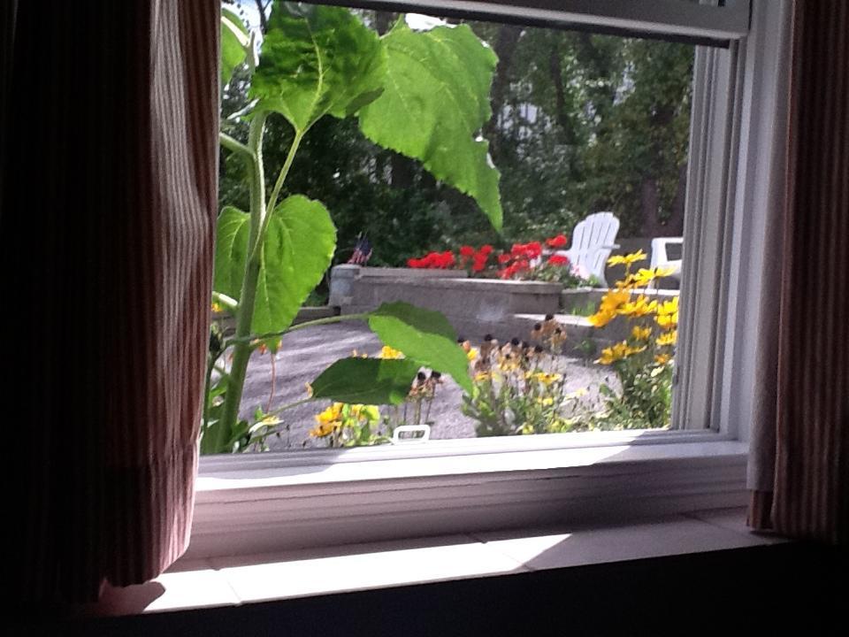 Josephine'S On The Bay Bed And Breakfast Hull Exterior foto